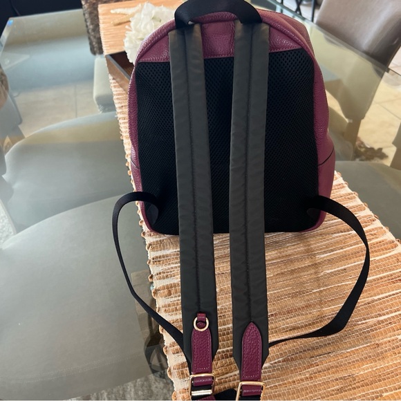 Coach Jed Pebbled leather backpack varsity stripe F89167 Gold/Berry Multi - Picture 4 of 8